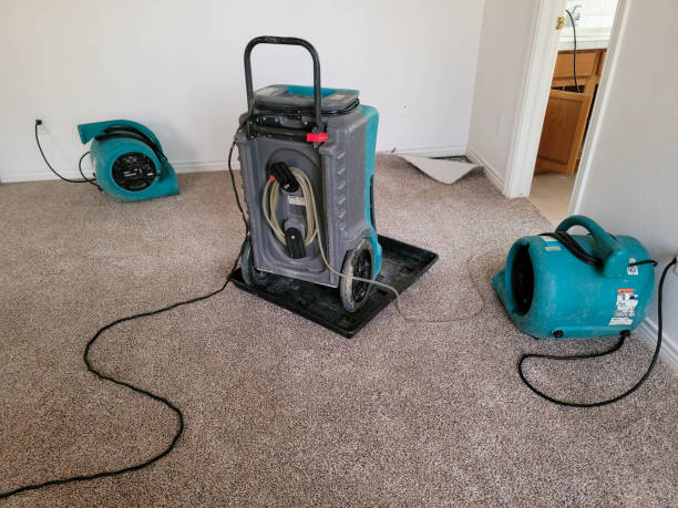 Best Water damage contractors near me  in Union, OR