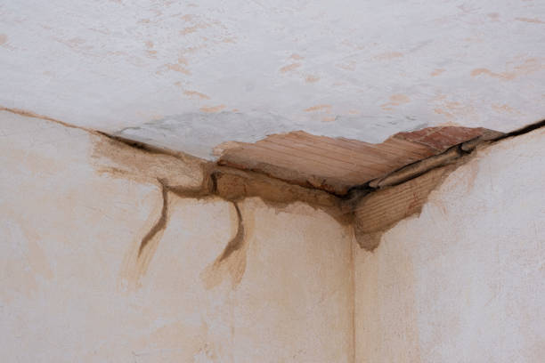 Best Residential water damage restoration  in Union, OR