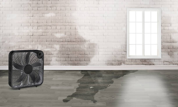 Best Ceiling water damage repair  in Union, OR