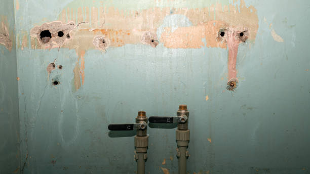 Trusted Union, OR Water damage restoration Experts