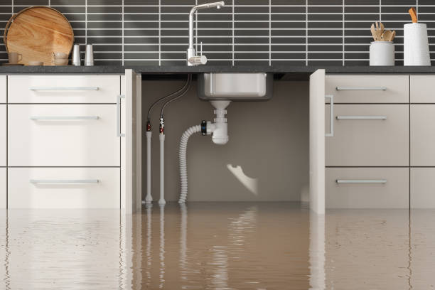 Best Carpet water damage restoration  in Union, OR