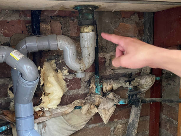 Best Water damage restoration near me  in Union, OR